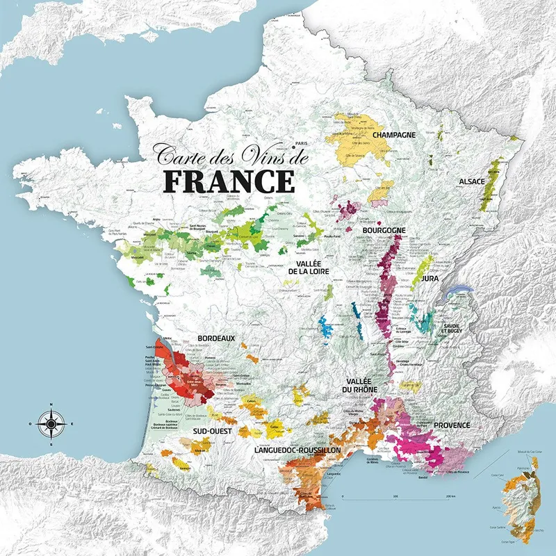Carte des vins de France, carrée avec Corse : reproduction de l’ancienne carte murale d’école