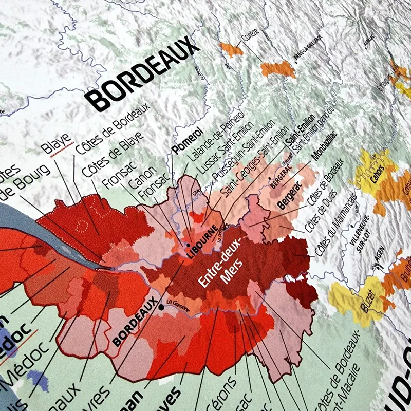 Détail : Carte des vins de France, découpe hexagone 85 cm (2)