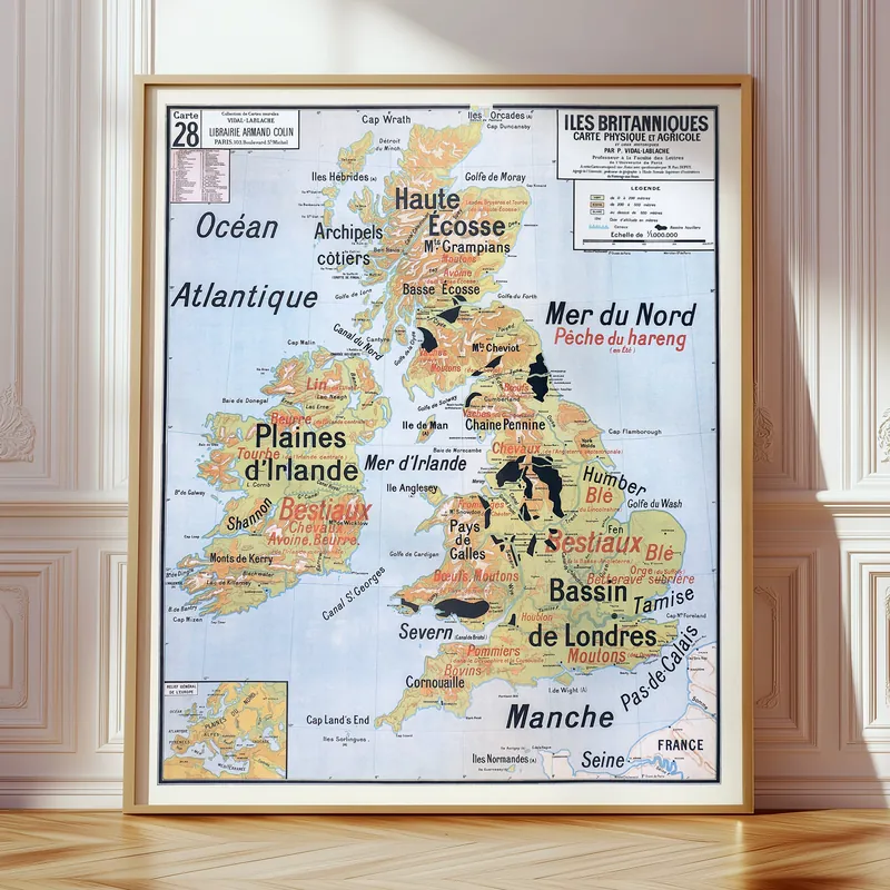 Carte Vidal-Lablache n° 28, Îles Britanniques, physique et agricole accrochée dans un intérieur, en situation