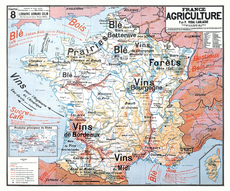 Carte Vidal-Lablache n° 8, France, agriculture : reproduction de l’ancienne carte murale d’école