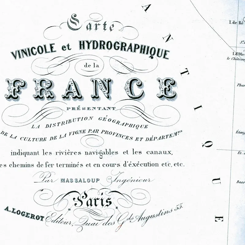 Détail : Carte vinicole et hydrographique de la France (2)