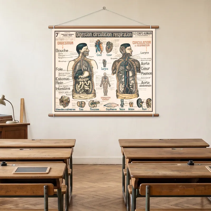 Galtier-Boissière n° 7 bis, Le corps humain, photo 1